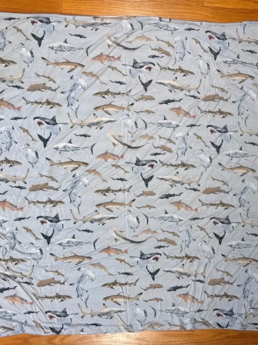 Posh peanut double-sided patoo  blanket